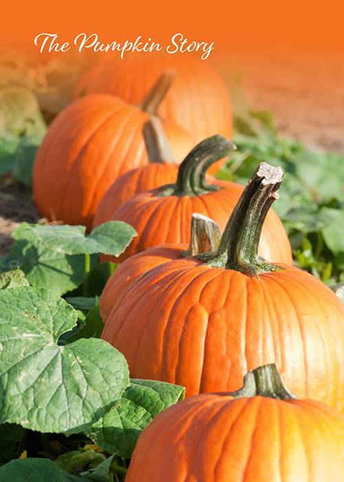 The Pumpkin Story